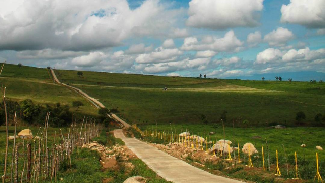 Padang Mangateh: Hamparan Hijau Eksotis